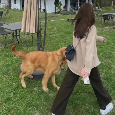 这货哪来的